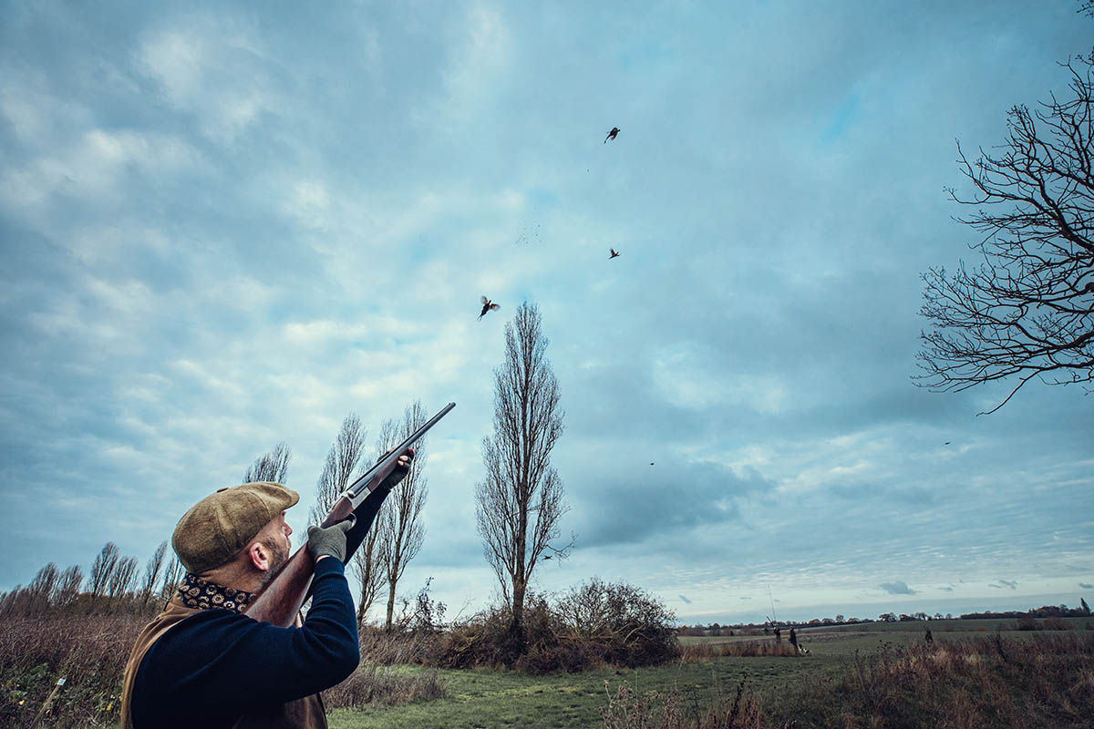 When pheasants won&#8217;t show over Guns as they should