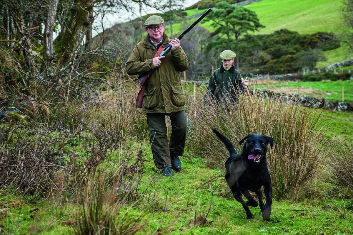 Woodcock shooting in the Welsh countryside