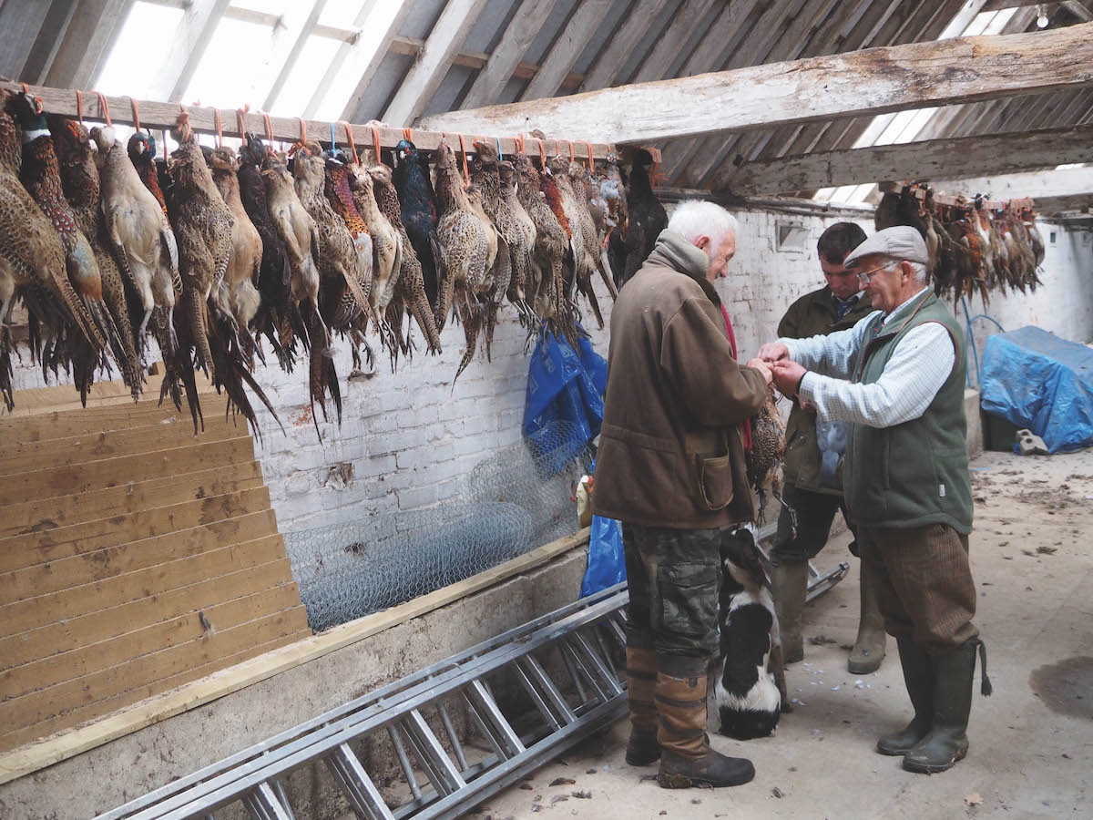 Accredited Game Shot: why you should definitely consider becoming one