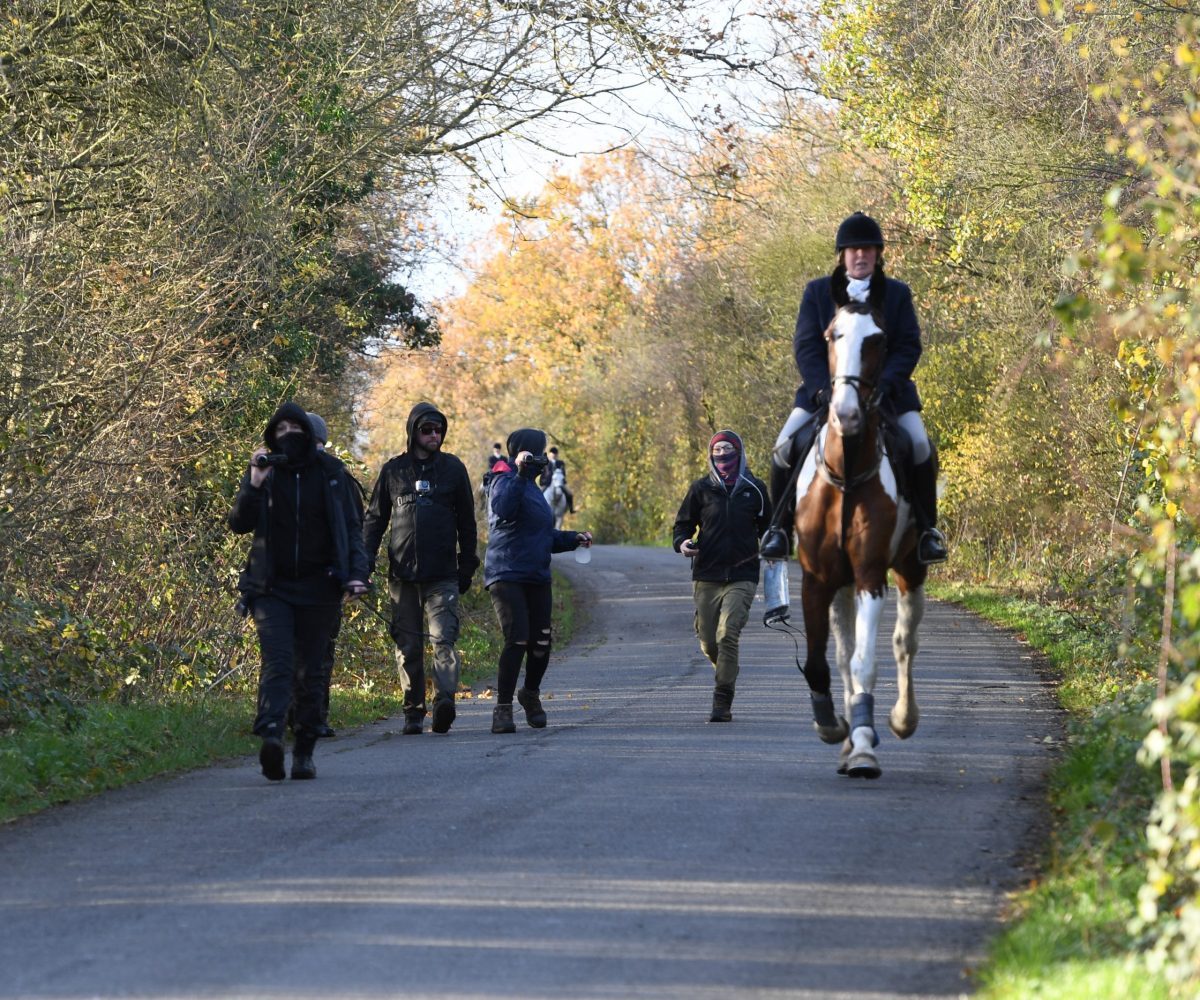 Hunt sab arrested over assault on 81 year old man