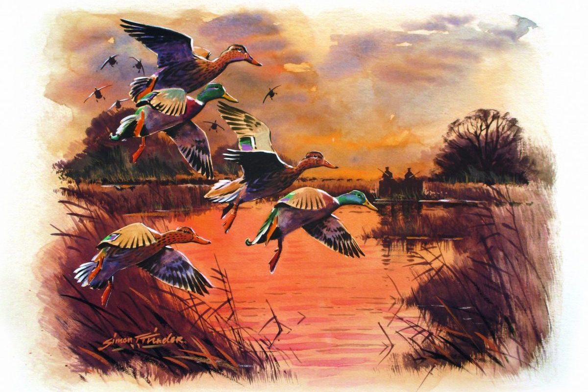 A DYI approach to duck-rearing