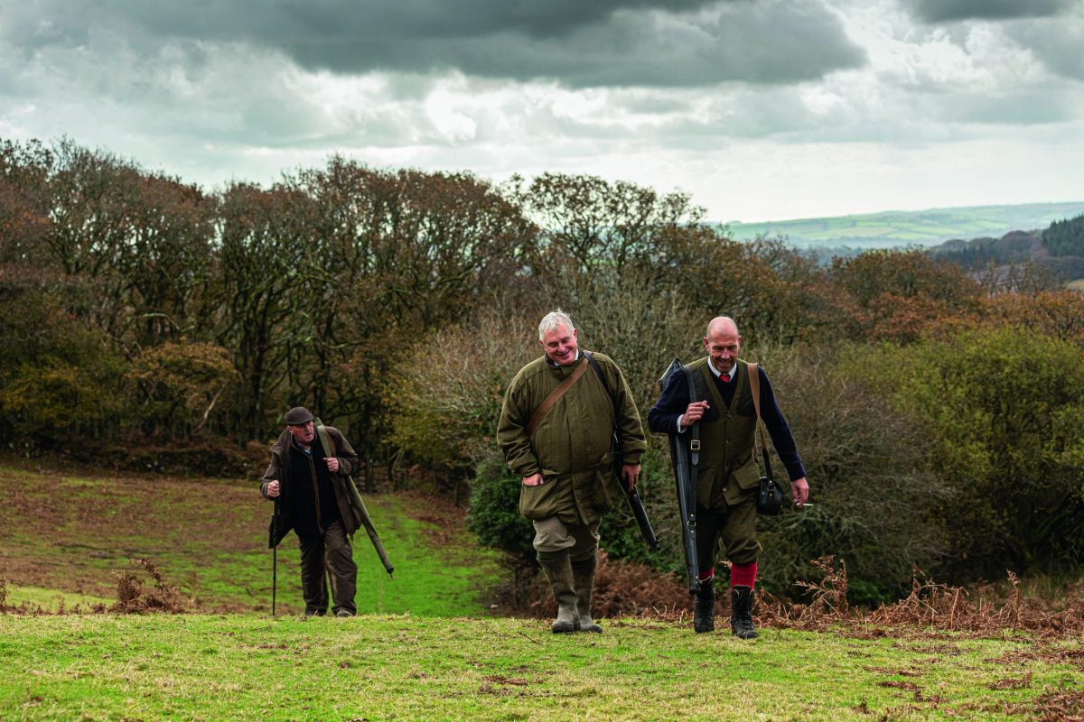 Could Dartmoor pheasant release threaten rare beetle?