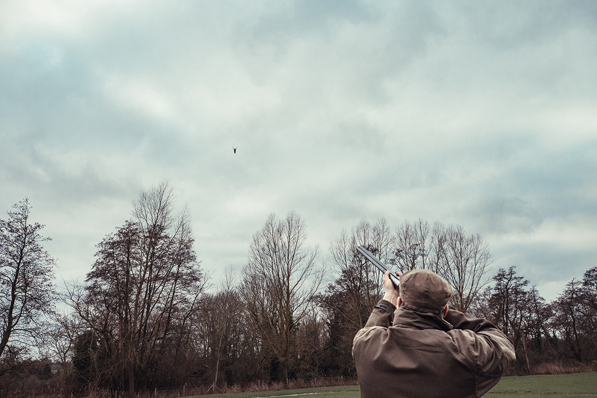 The role of the wild-bird keeper in rewilding