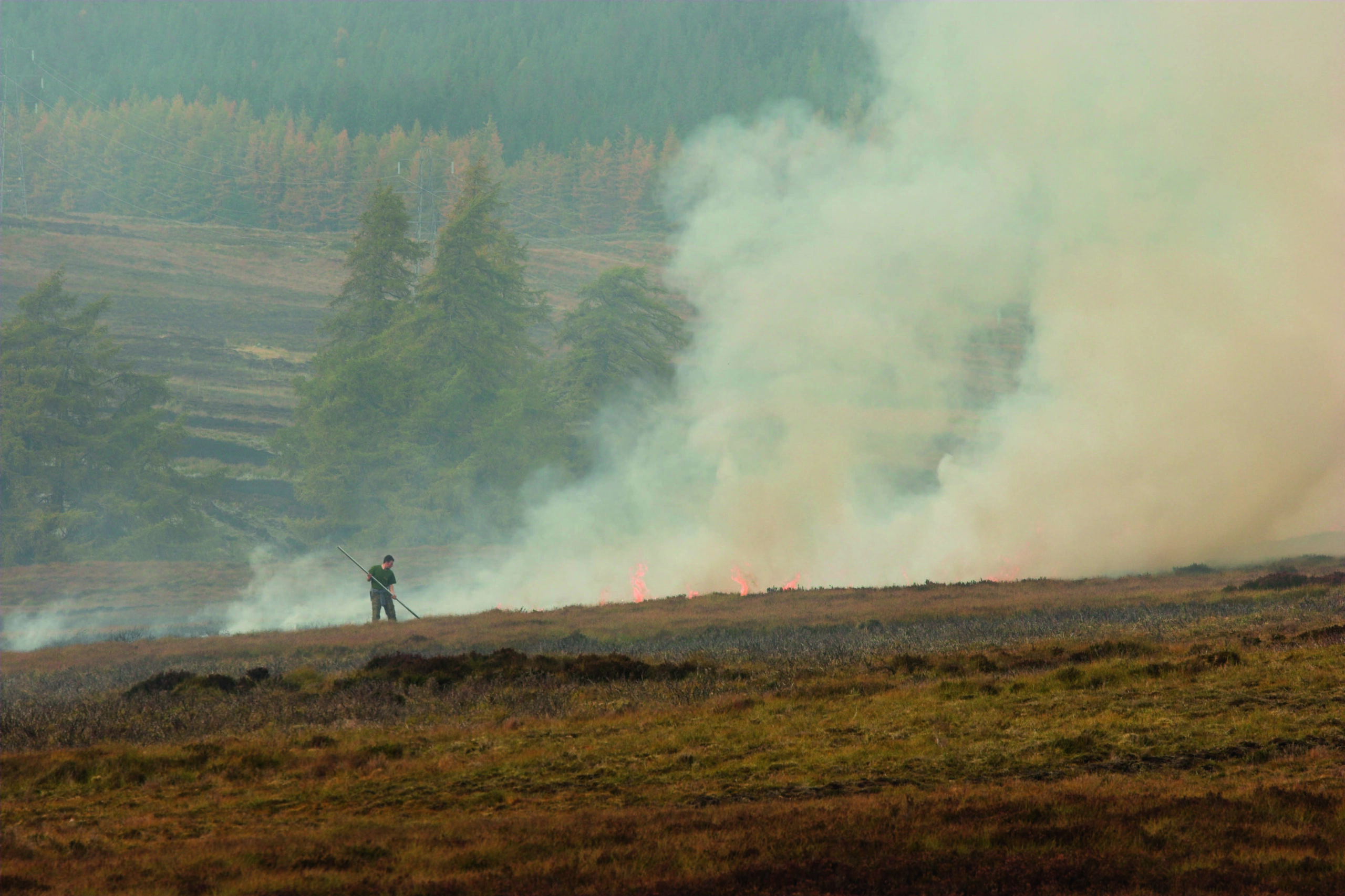 Controlled muirburn near Sheffield is criticised