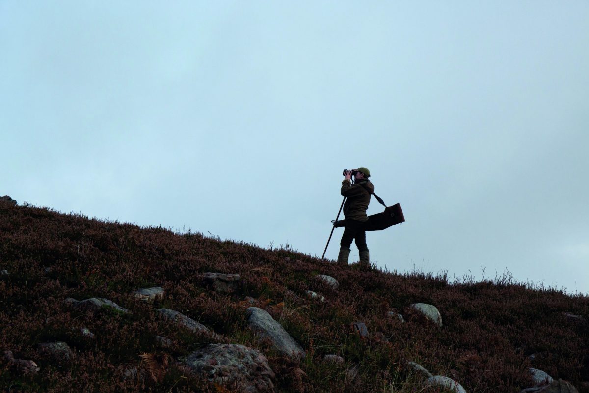 Welcome to Shoot In Scotland