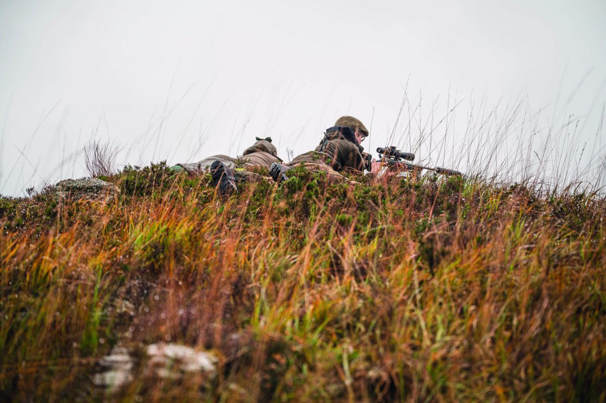 stalking in Scotland 