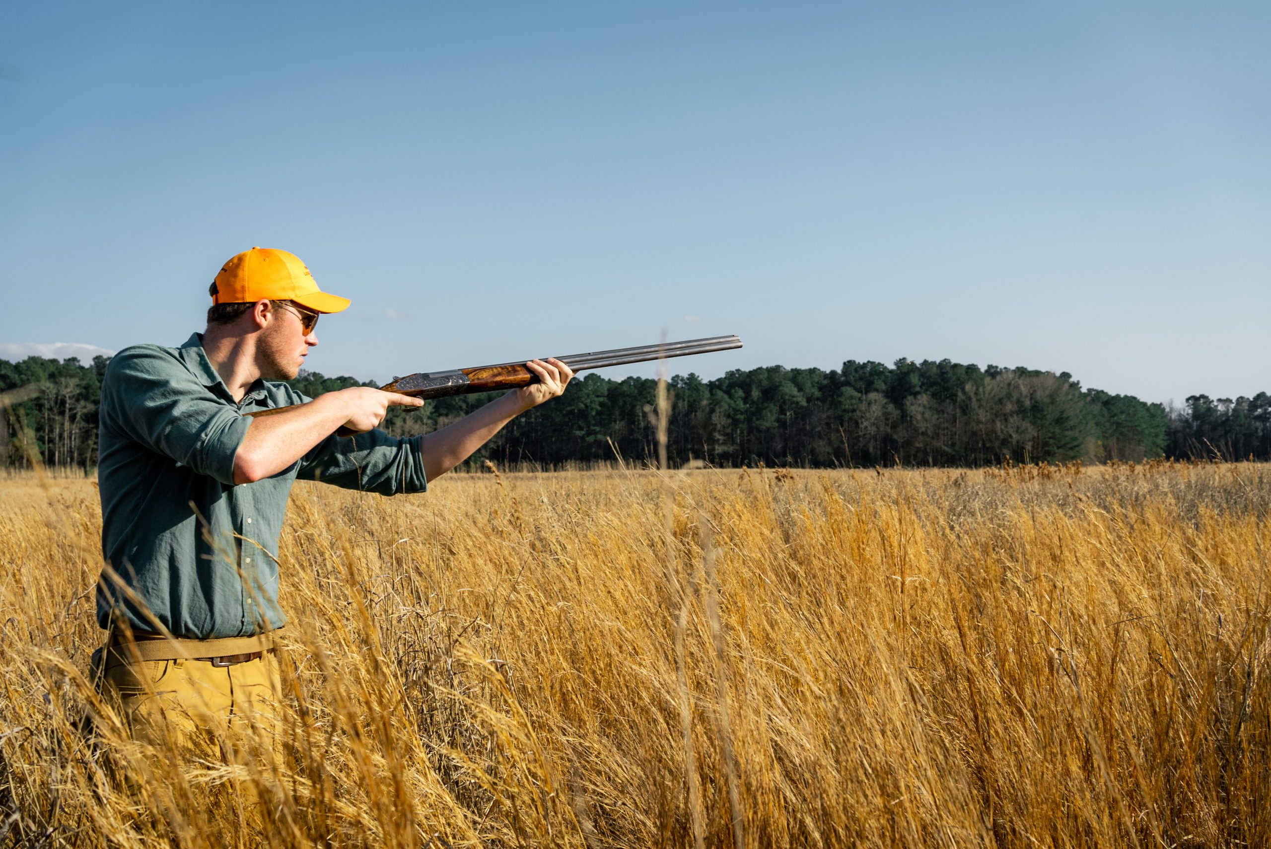 quail shooting