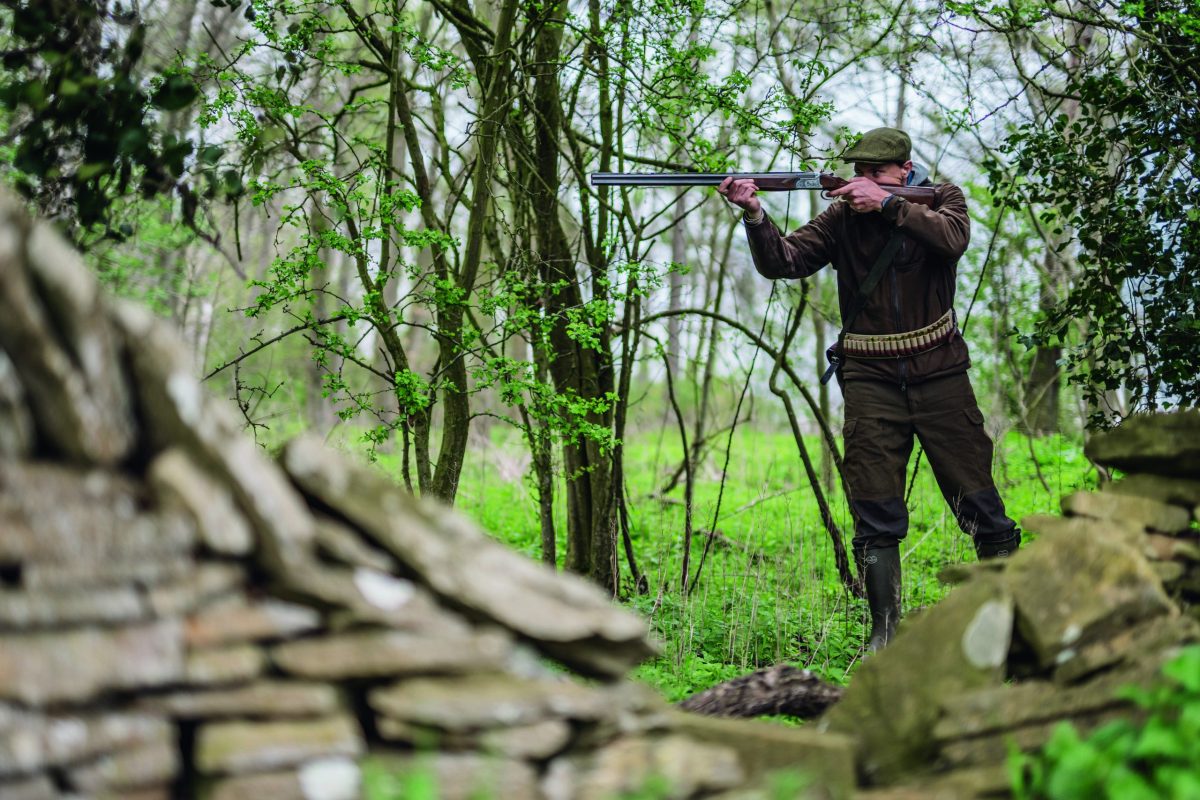 Putting rabbit shooting advice into practice