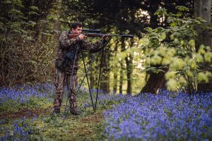 Muntjac stalking in Essex