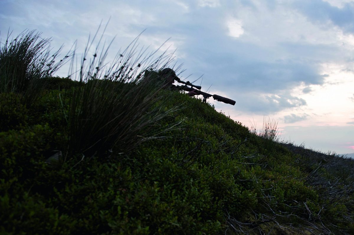 The fine balance between predator control, habitat and food supply