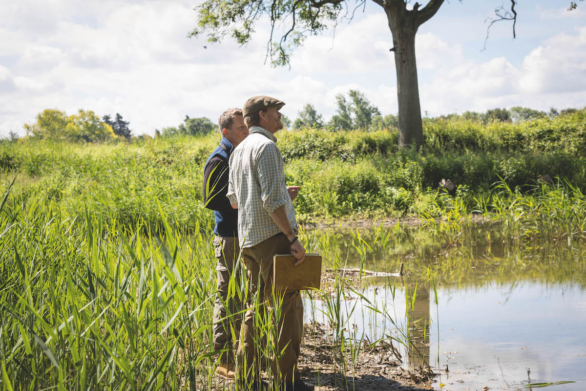 looking at flight pond