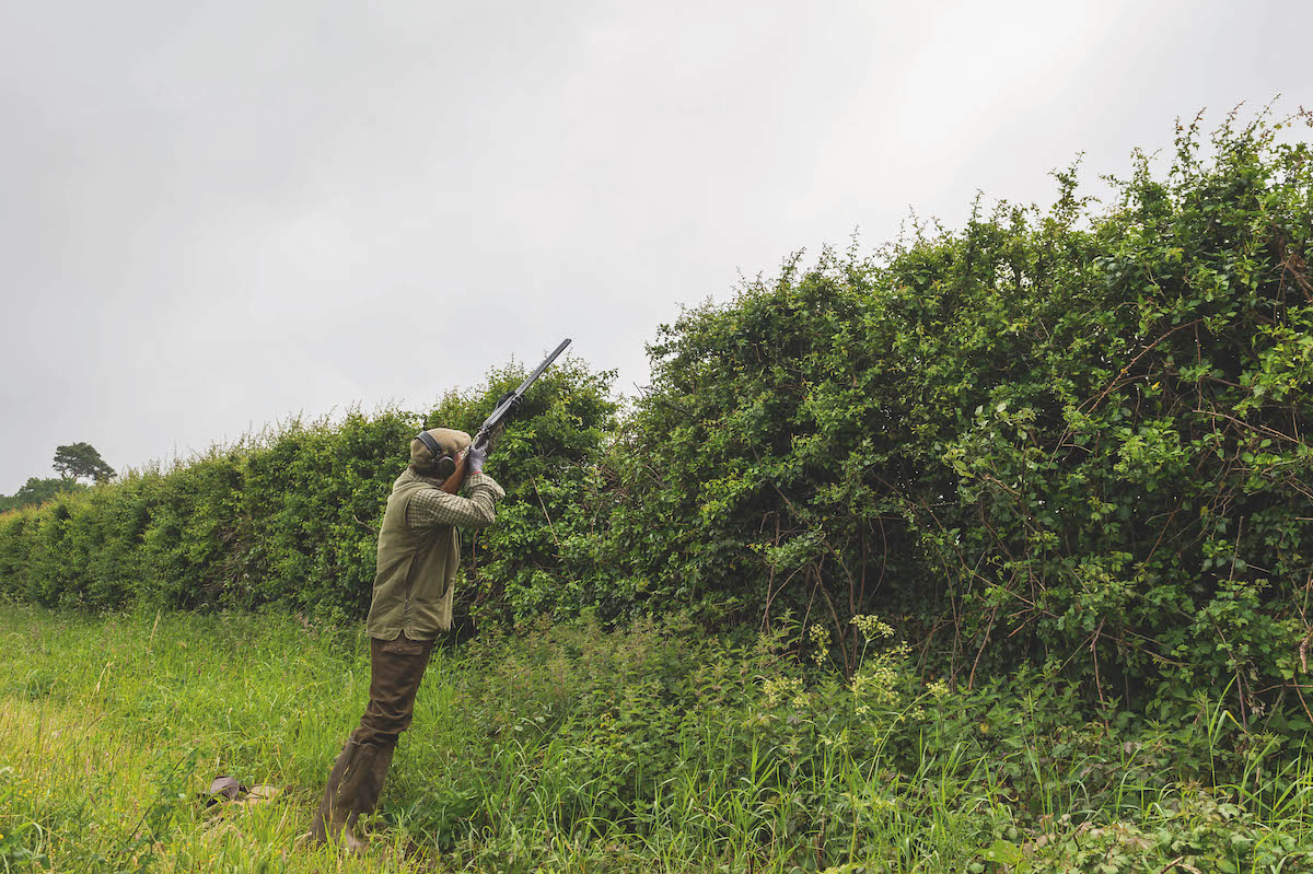 Is rough shooting about to get a boost?