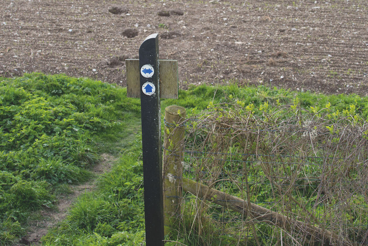 News this week: Land access could cause problems for ecosystems plus concerns about rising costs for clay shooting businesses
