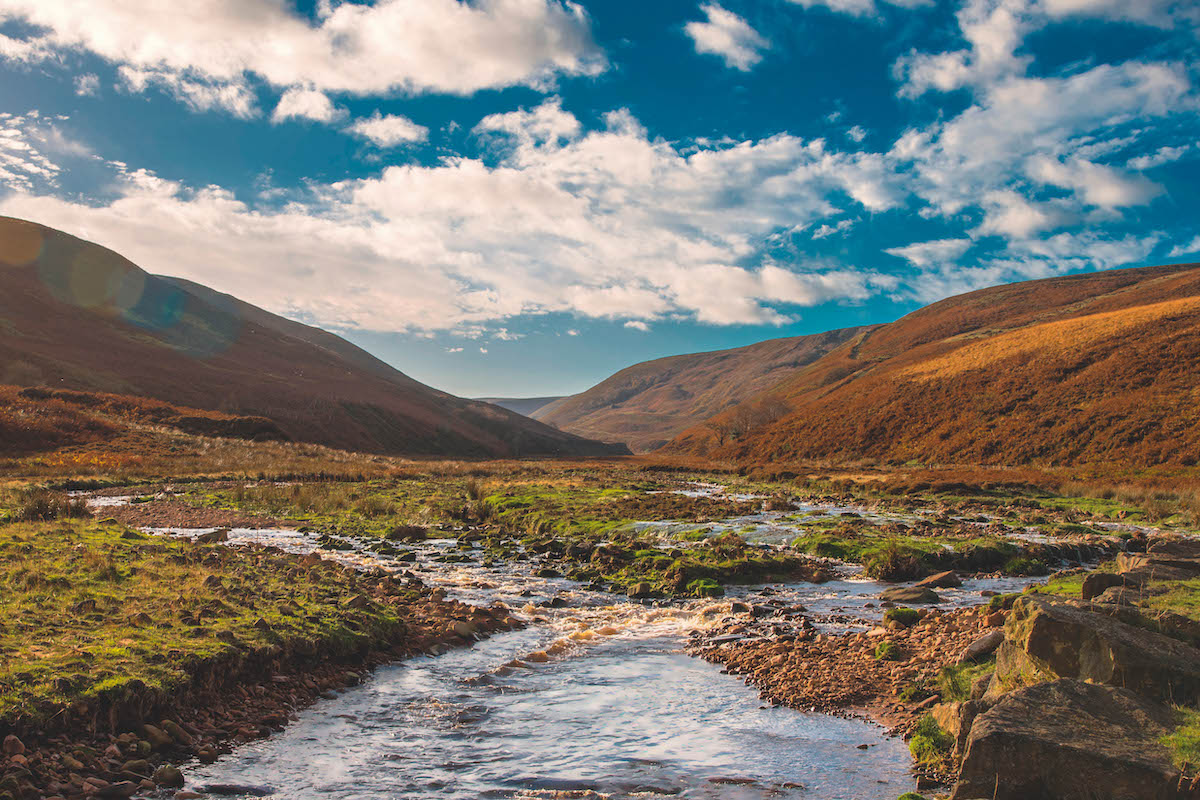 Farewell to ‘linchpin’ of the Countryside Alliance