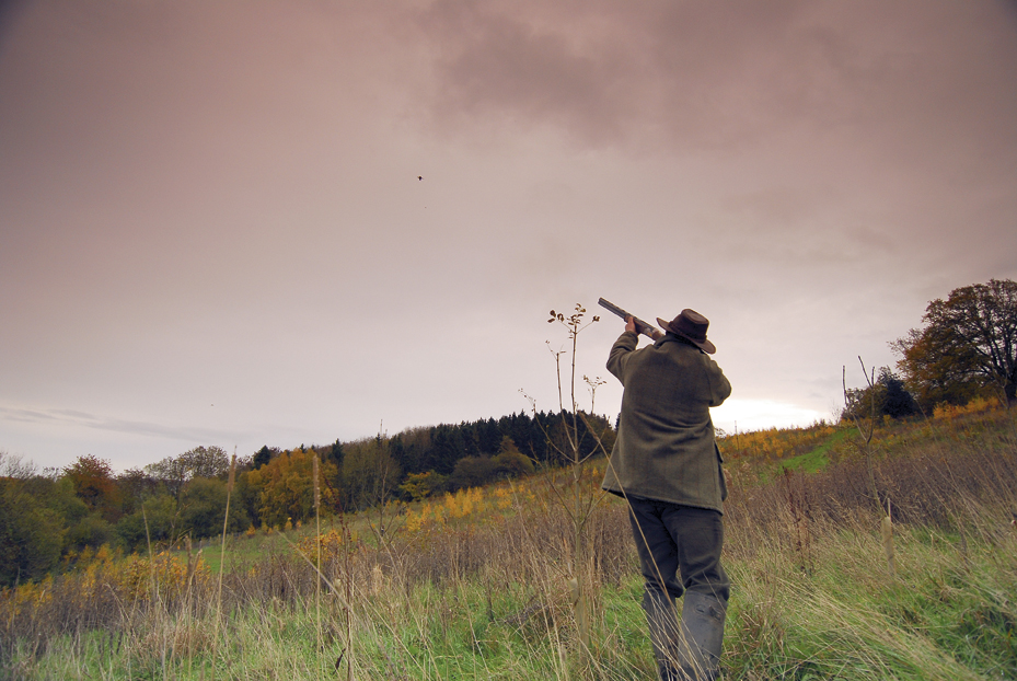 Game shooting in Worcestershire