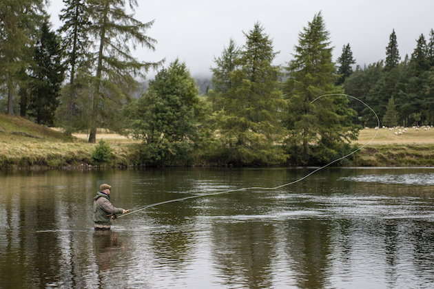 fishing for salmon 