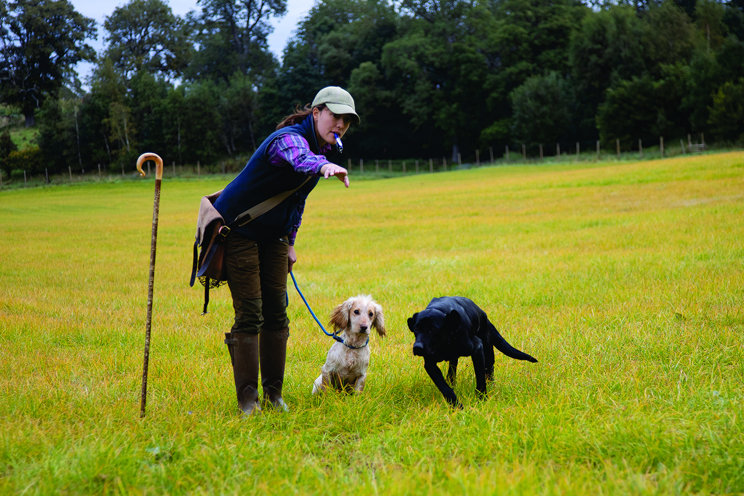 Sending gundog for retrieve 
