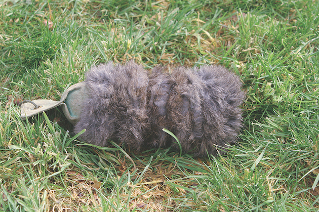 rabbit fur covered dummy 