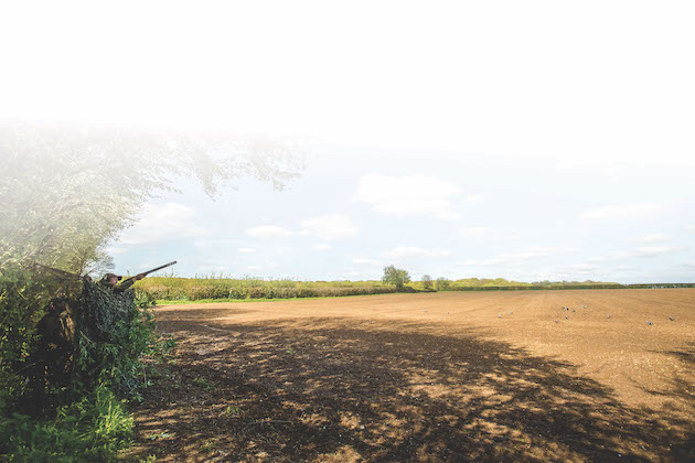 What you need to know about the new 2021 general licences for England