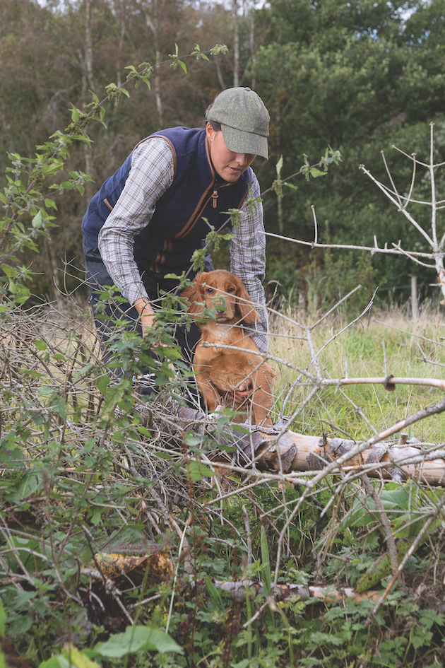 Training your gundog to enter cover