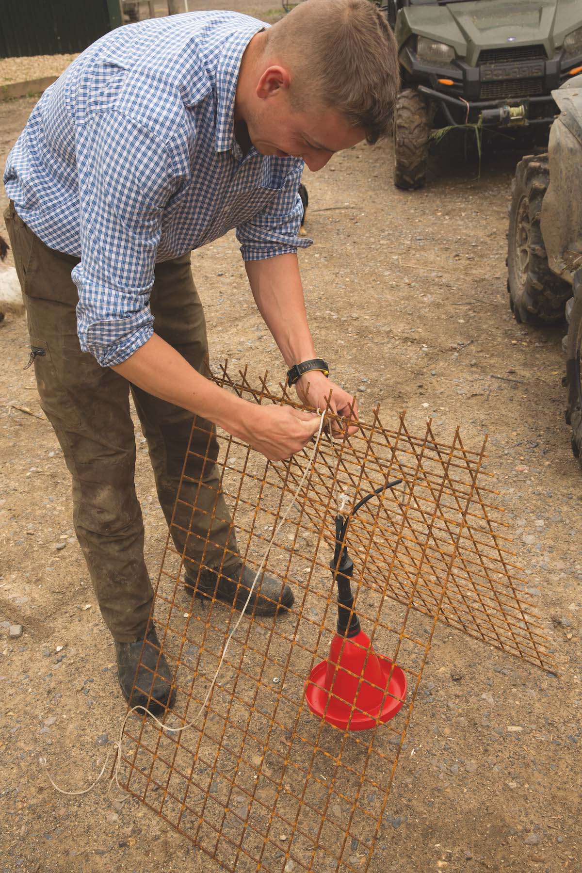 Fixing a drinker to a pheasant pen