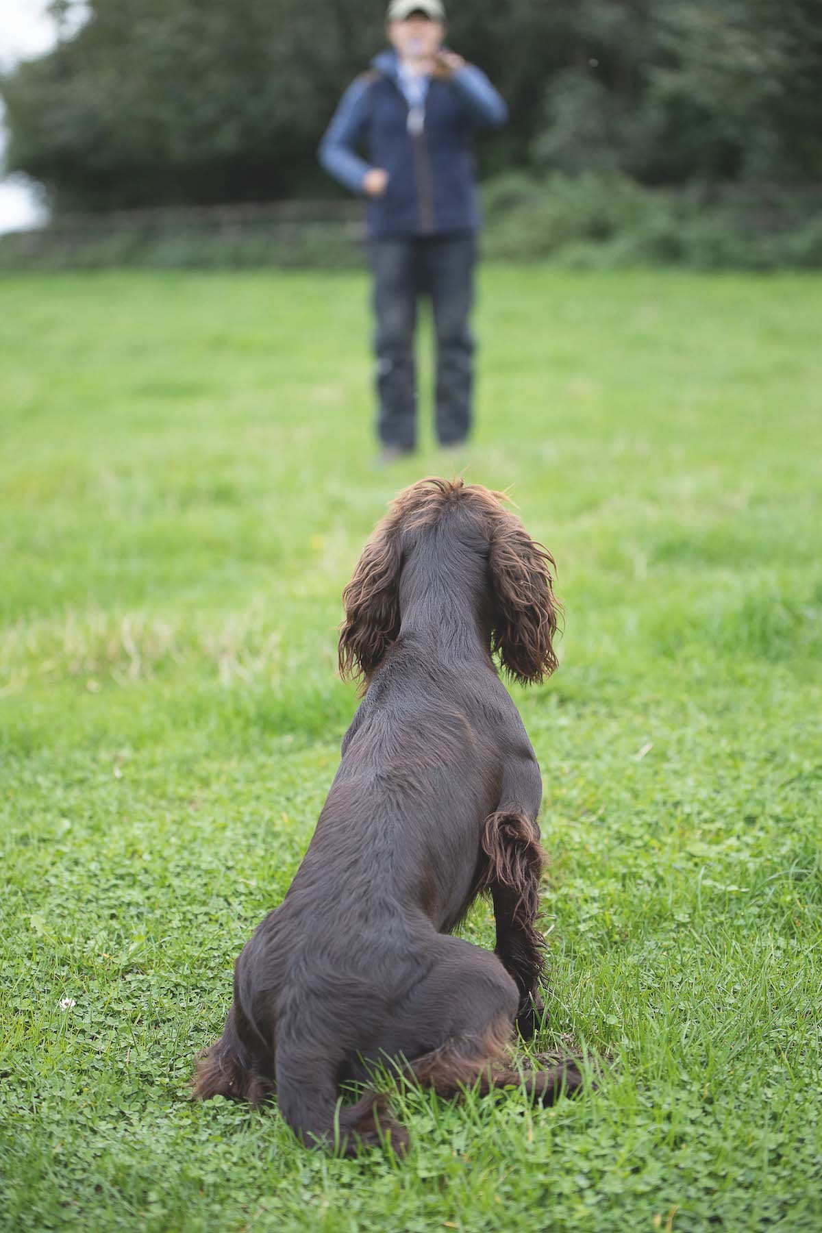 Indicating the Hup command