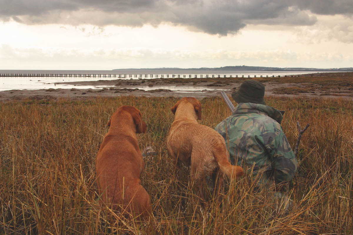 Non toxic shot used in wildfowling