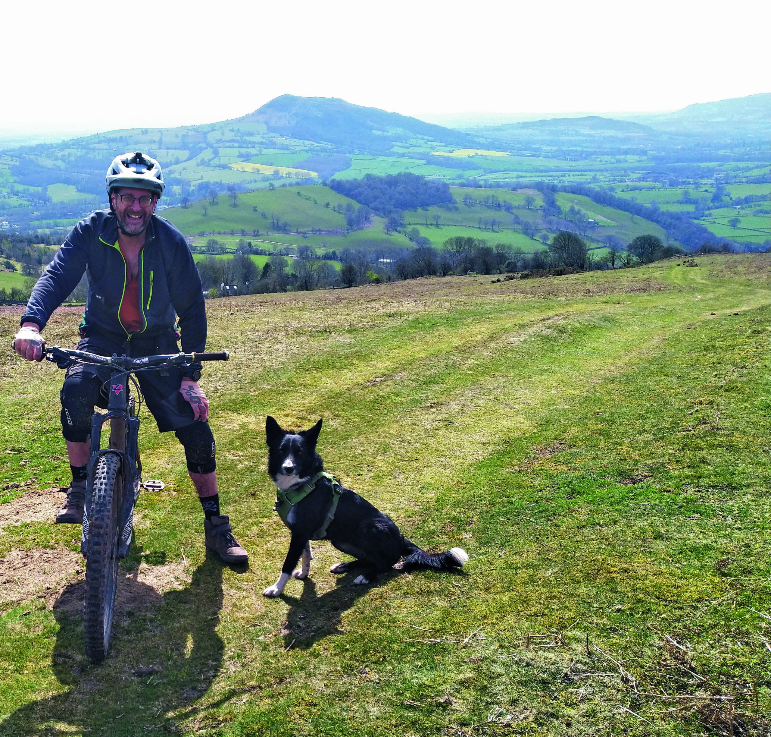 e-bikes