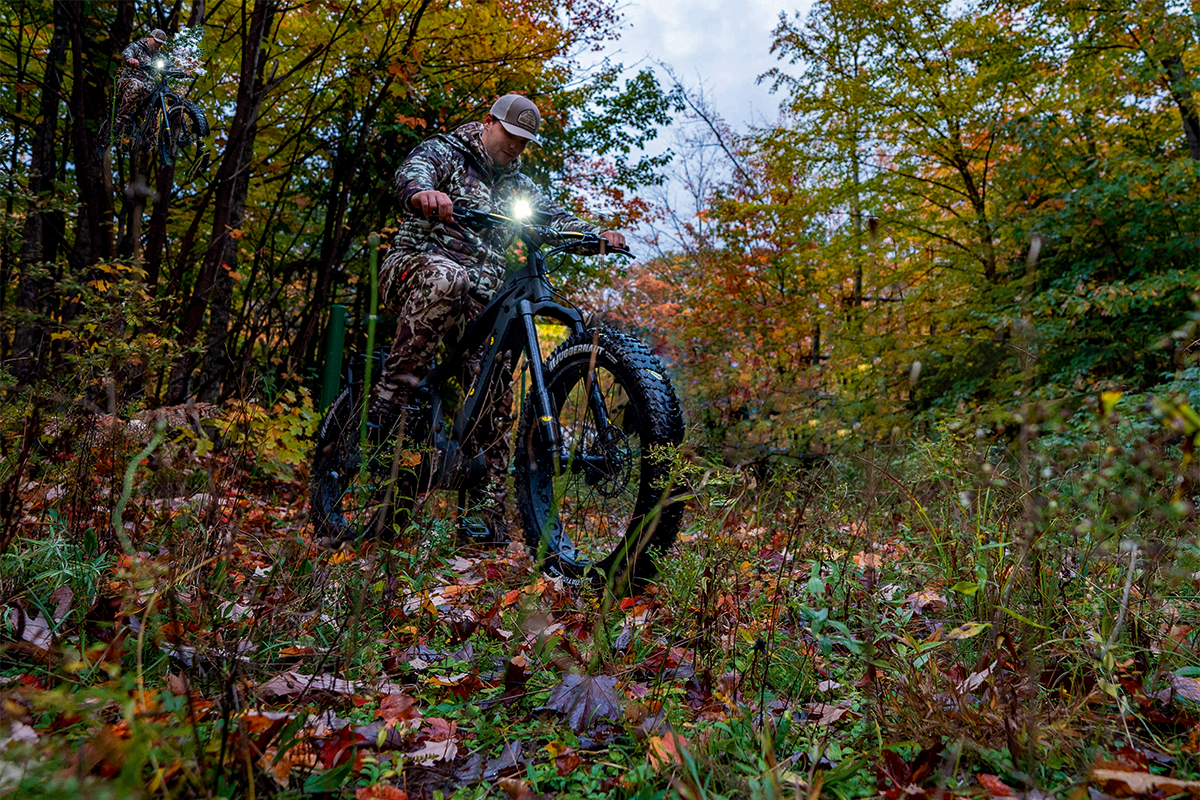 e-bikes