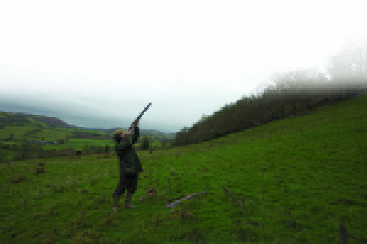 Adjusting your gun to improve your shooting