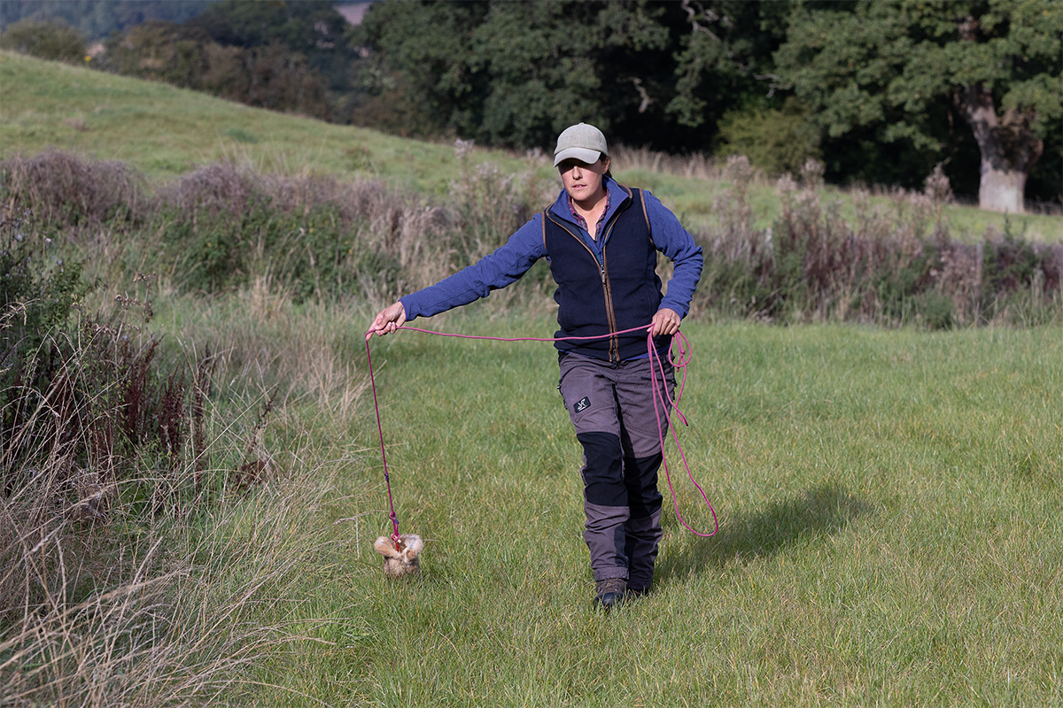 Scent line training &#8211; don&#8217;t rush your young gundog