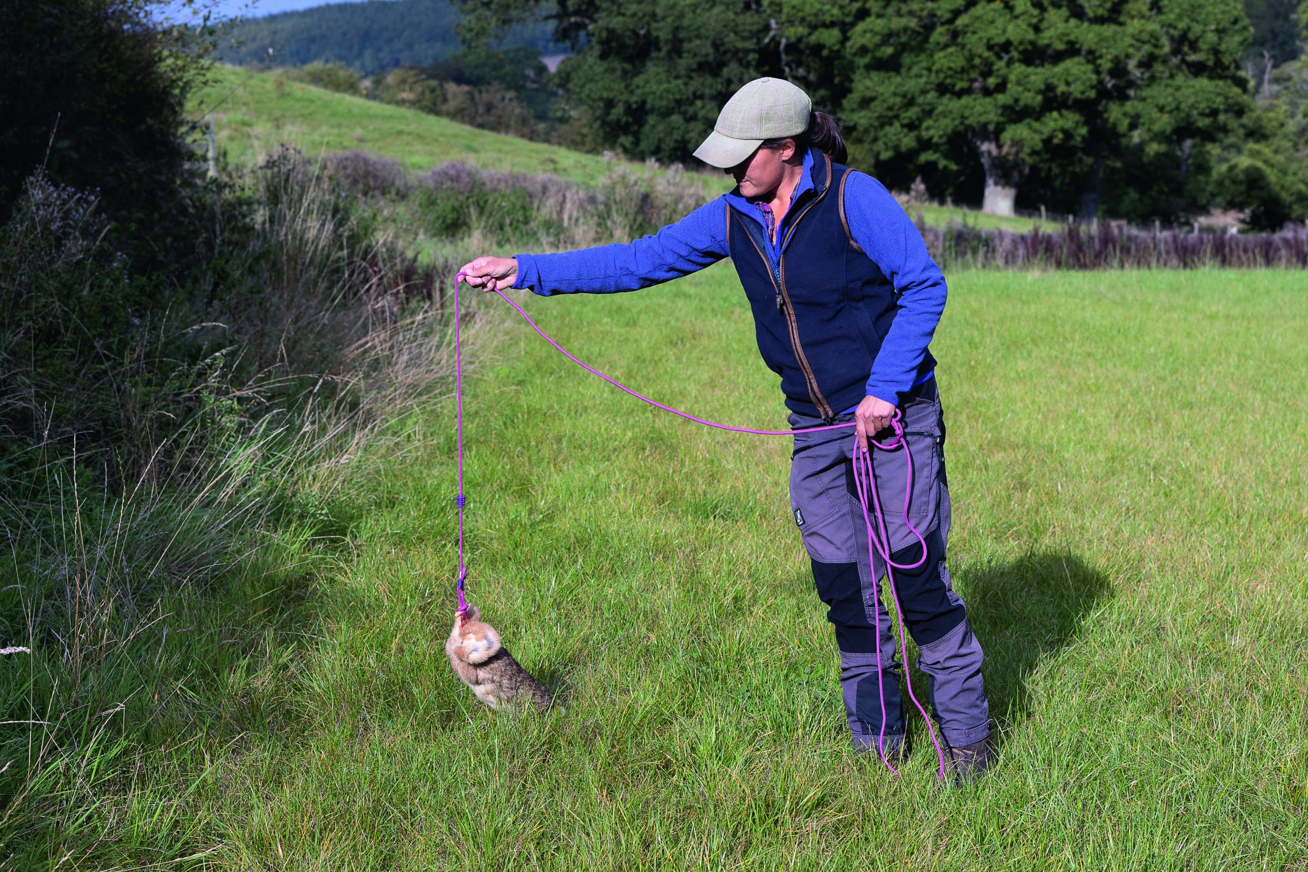 Scent line training