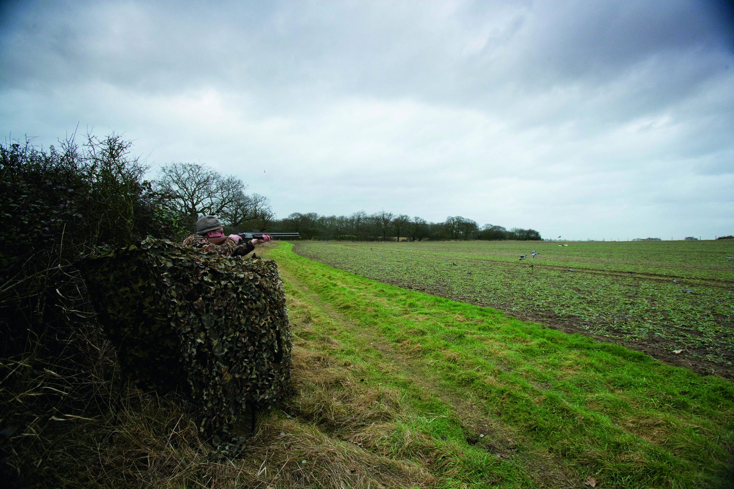 Pigeon-shooting