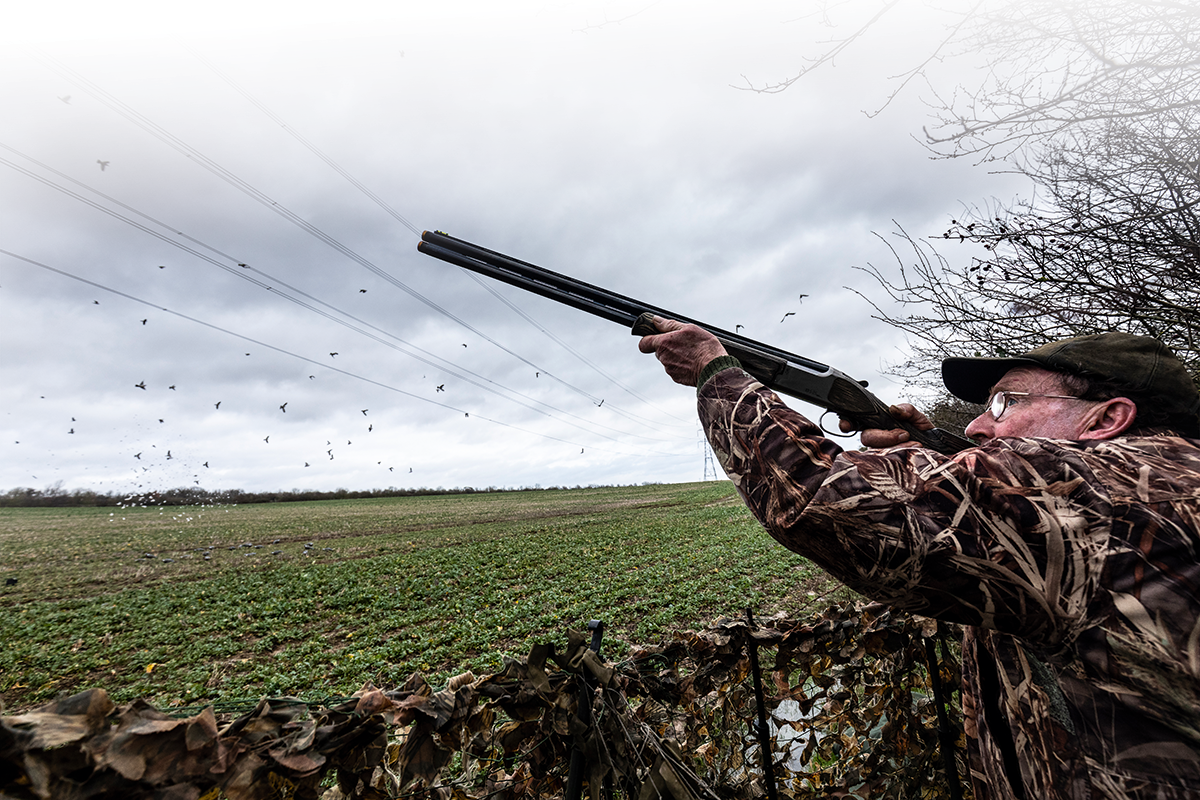 pigeon shooting partner