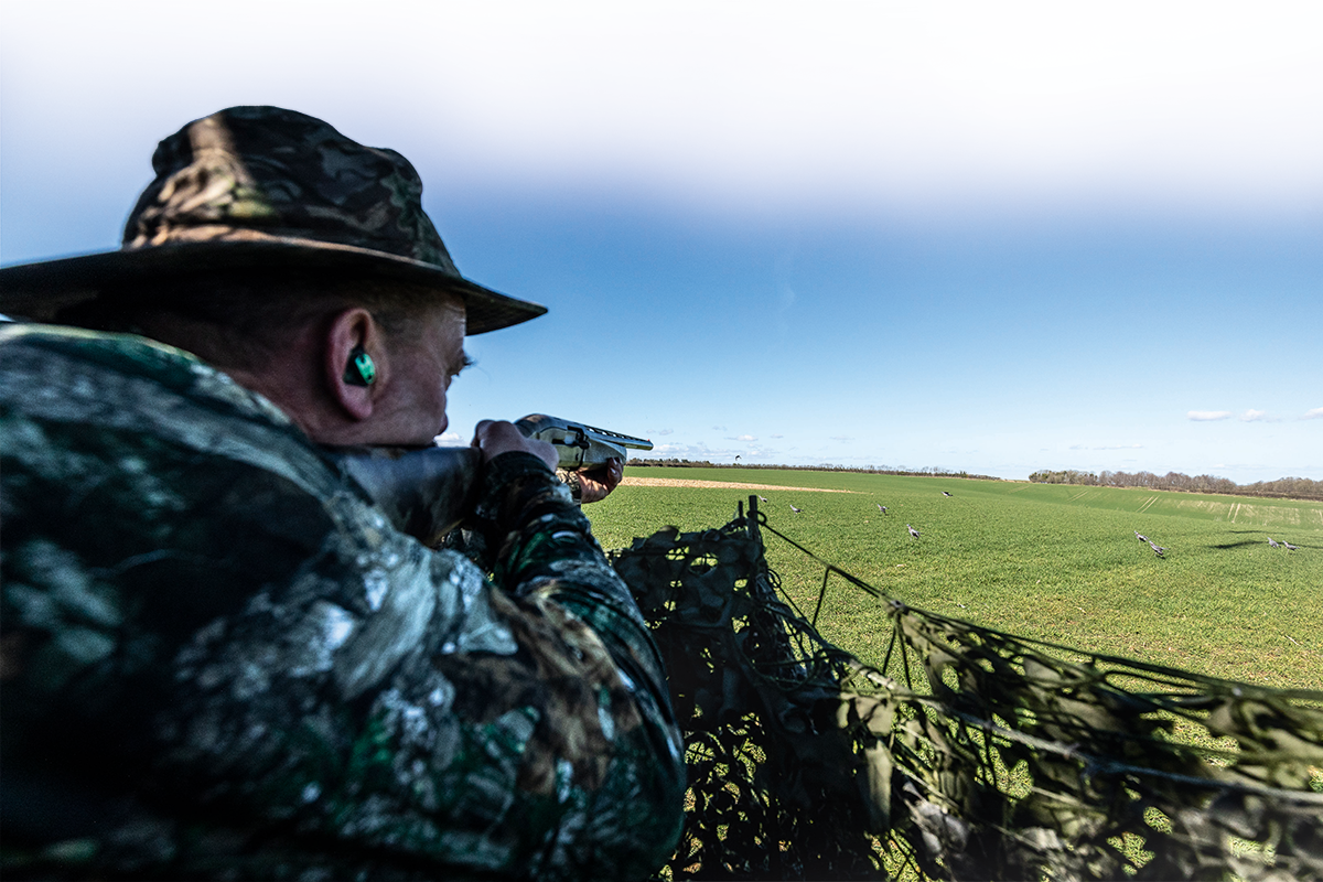 Springtime pigeon control over drilling