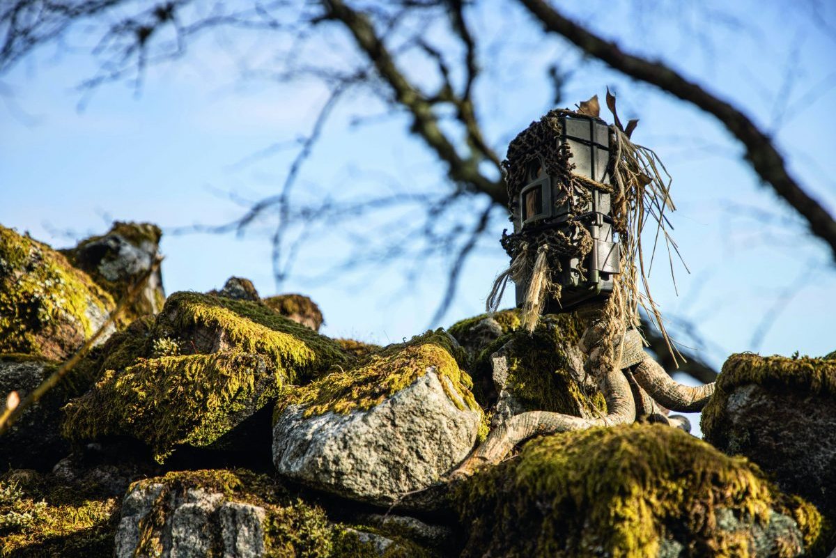 How to get the most out of your trail cameras