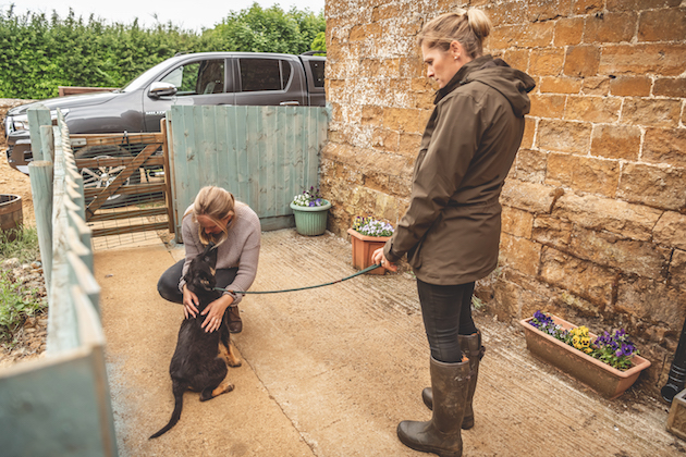 puppy training after lockdown