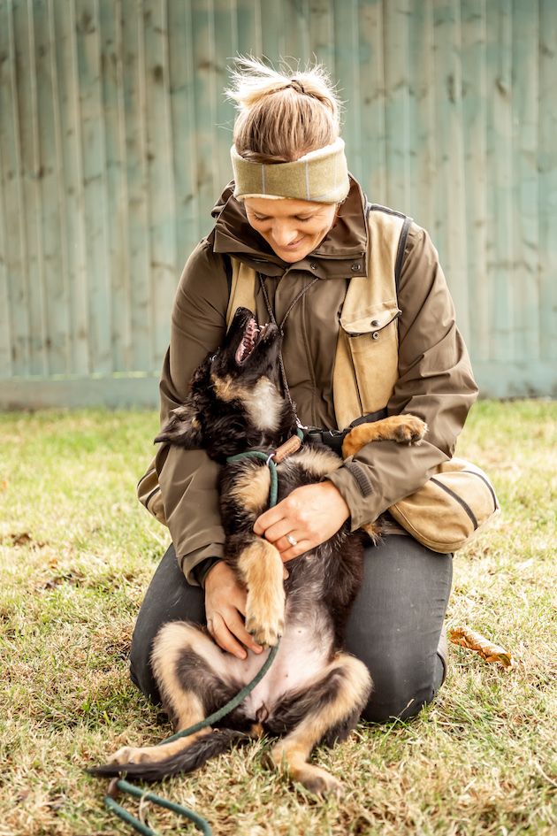 puppy training after lockdown 