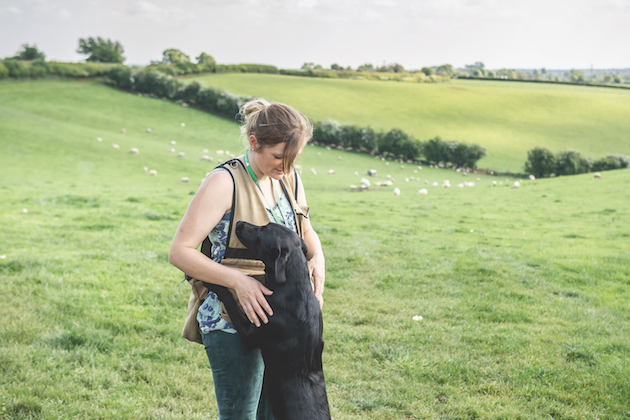 gundog training