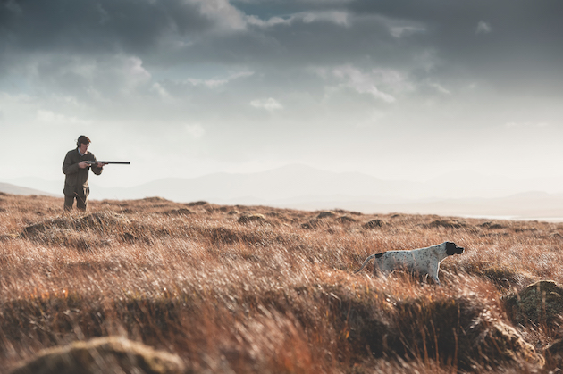 grouse moor 