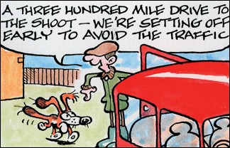 Dog goes on a road trip