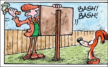 Dog faces abuse