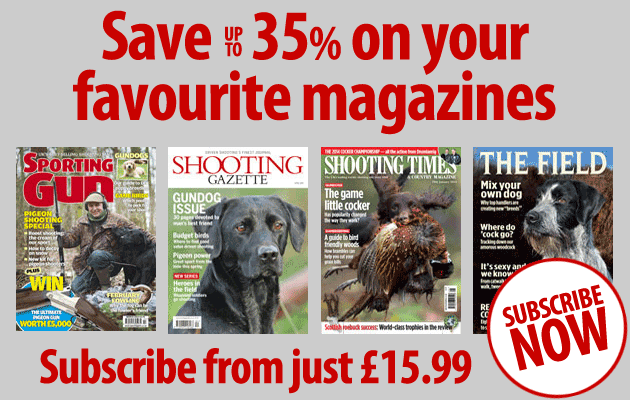 Save up to 35% with a magazine subscription