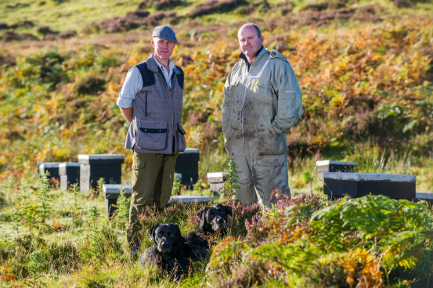 Beekeeper on Scottish moorland heather 