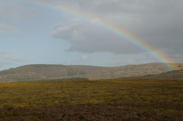 Criticism for Scotland&#8217;s new Land Reform Bill by the Royal Institution of Chartered Surveyors (RICS)