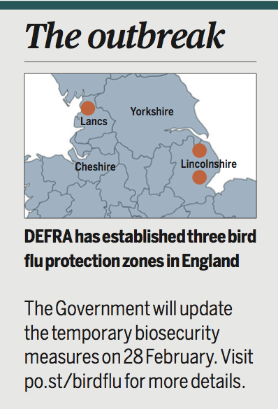 bird flu outbreak 