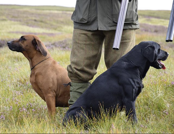The Shooting UK Forum is changing