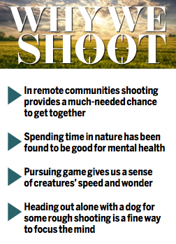 why we shoot 