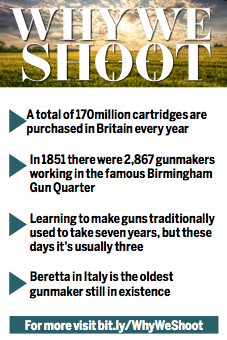 Why We Shoot 