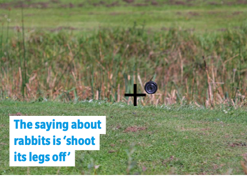 rabbit target 